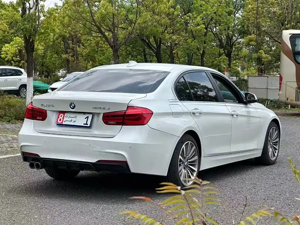 BMW 3 Series 2019 320Li M Sport Package фото 9
