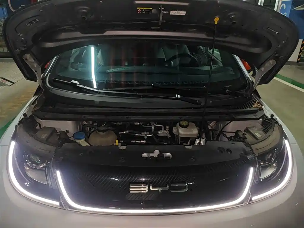 BYD Dolphin 2021 Model 405km Fashion Edition фото 16