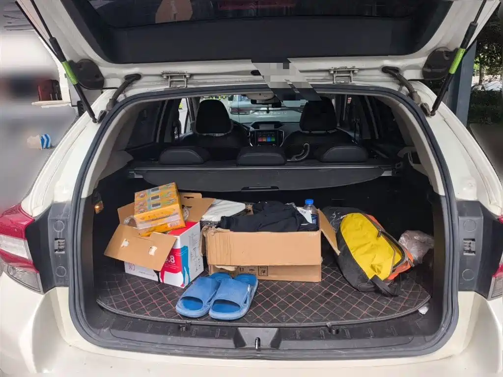 Subaru XV 2019 2.0i AWD Luxury EyeSight (China V) фото 15