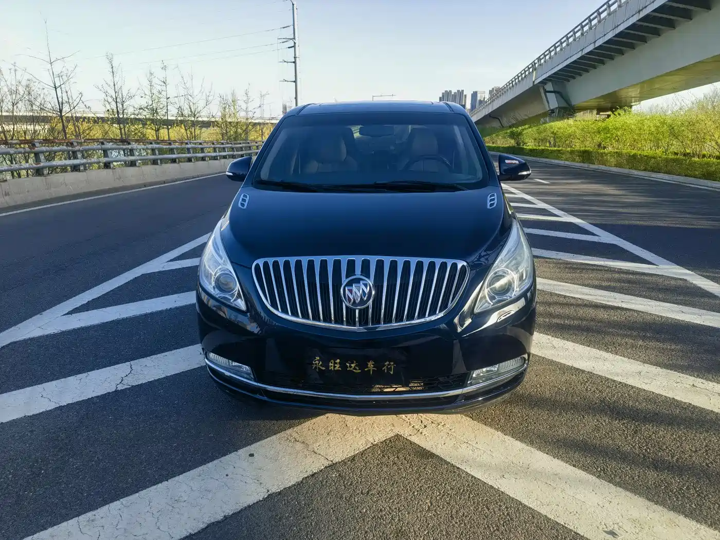 Buick GL8 2011 3.0L GT Luxury Business Elegance Edition фото 2