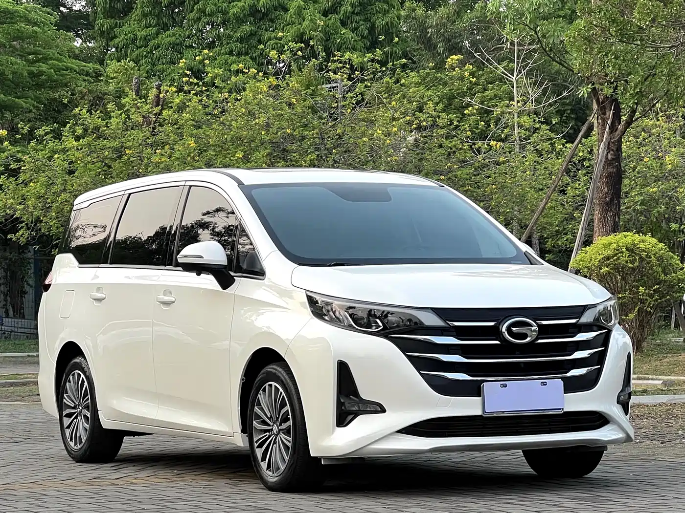 GAC Trumpchi Trumpchi M6 2019 270T Automatic Honor (7-seater) China V фото 3