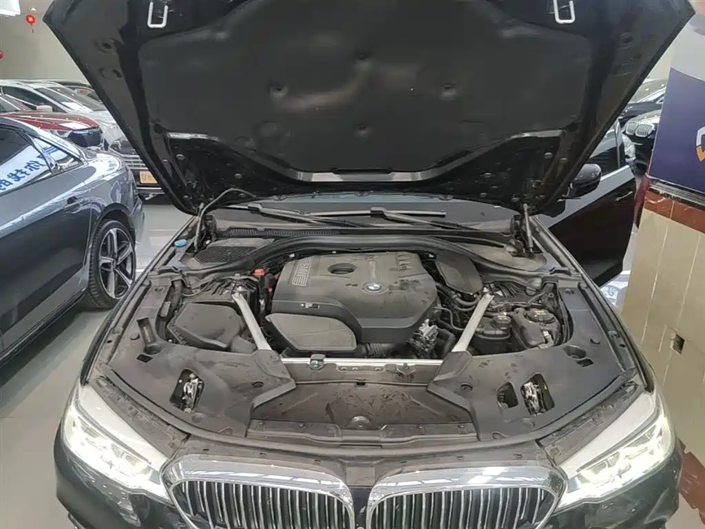 BMW 5 Series 2019 Facelift 530Li Premium Luxury Package фото 20