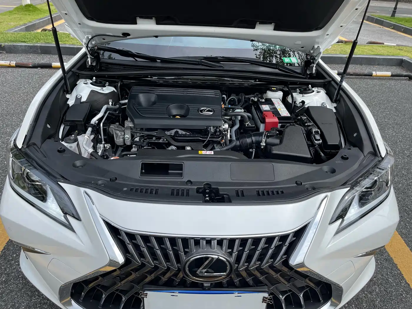Lexus ES 2023 200 Excellence Edition фото 24