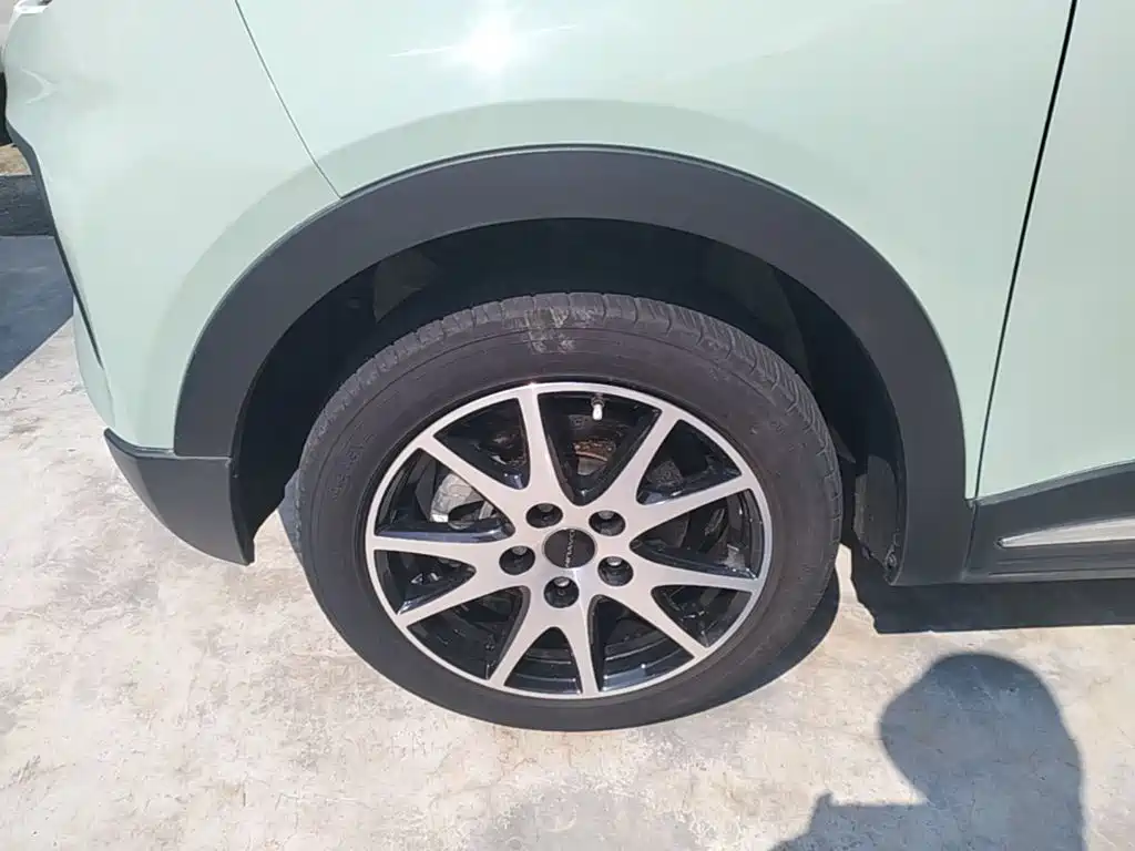 Dayun Yuehu 2022 2022 30.66kWh 2WD VIP Edition