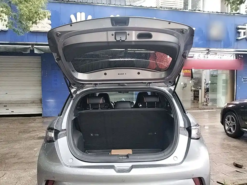 Фото 19 - BYD Dolphin
