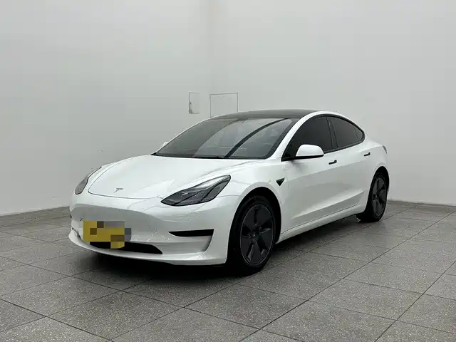 Tesla Model 3 2022 Model Rear-Wheel Drive Version