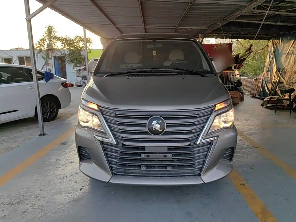 2025 Dongfeng Fengxing Lingzhi