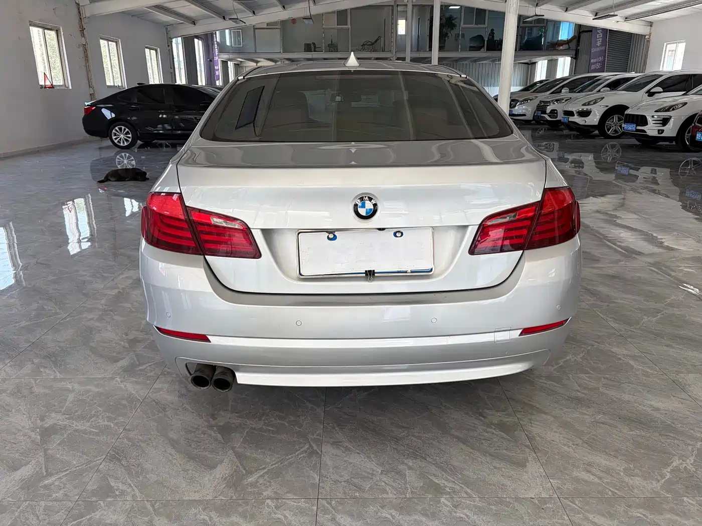 BMW 5 Series 2011 523Li Leading фото 5