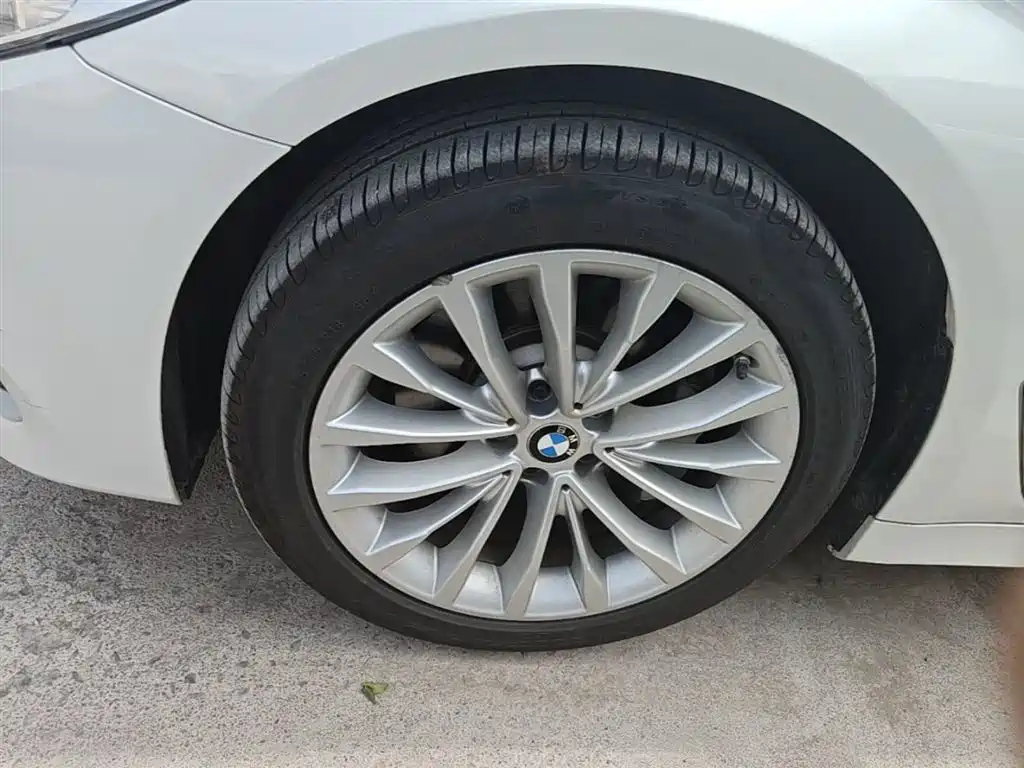BMW 5 Series 2020 530Li xDrive Luxury Package фото 23