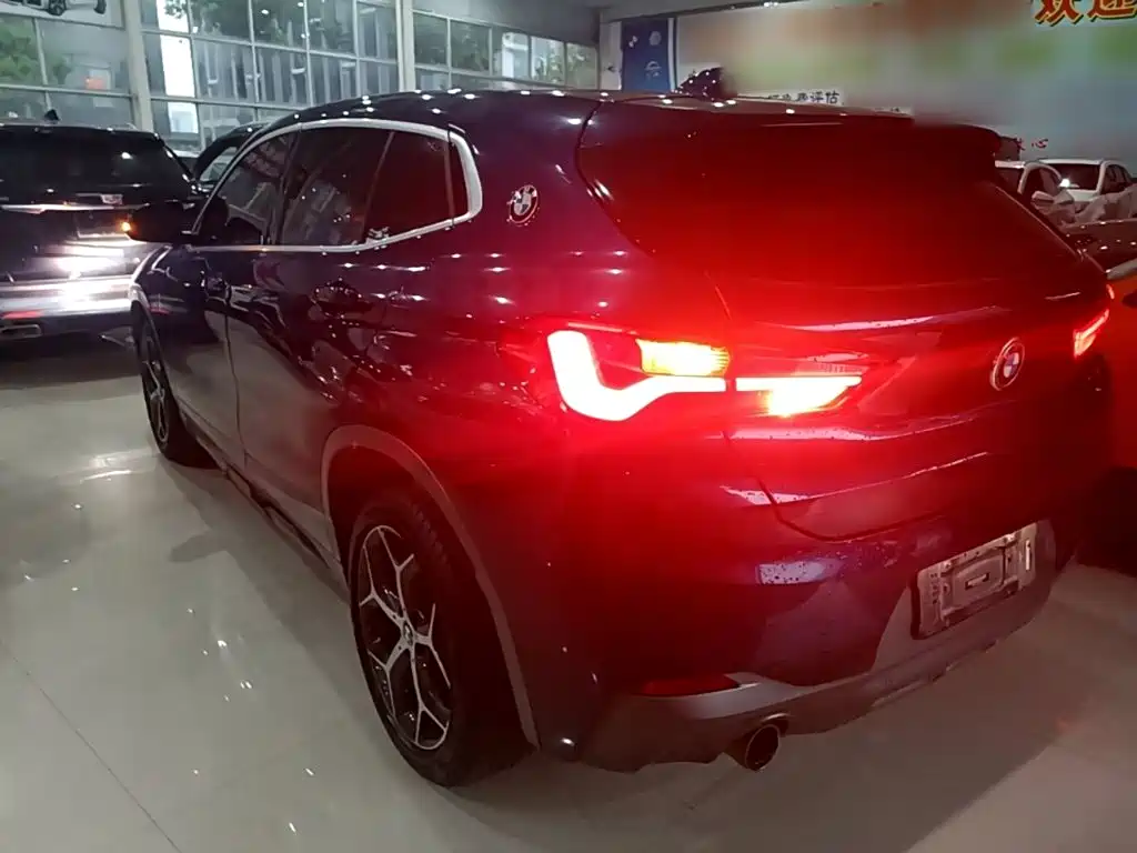 BMW X2 (Import) 2019 2019 sDrive20i M Off-Road Package China VI