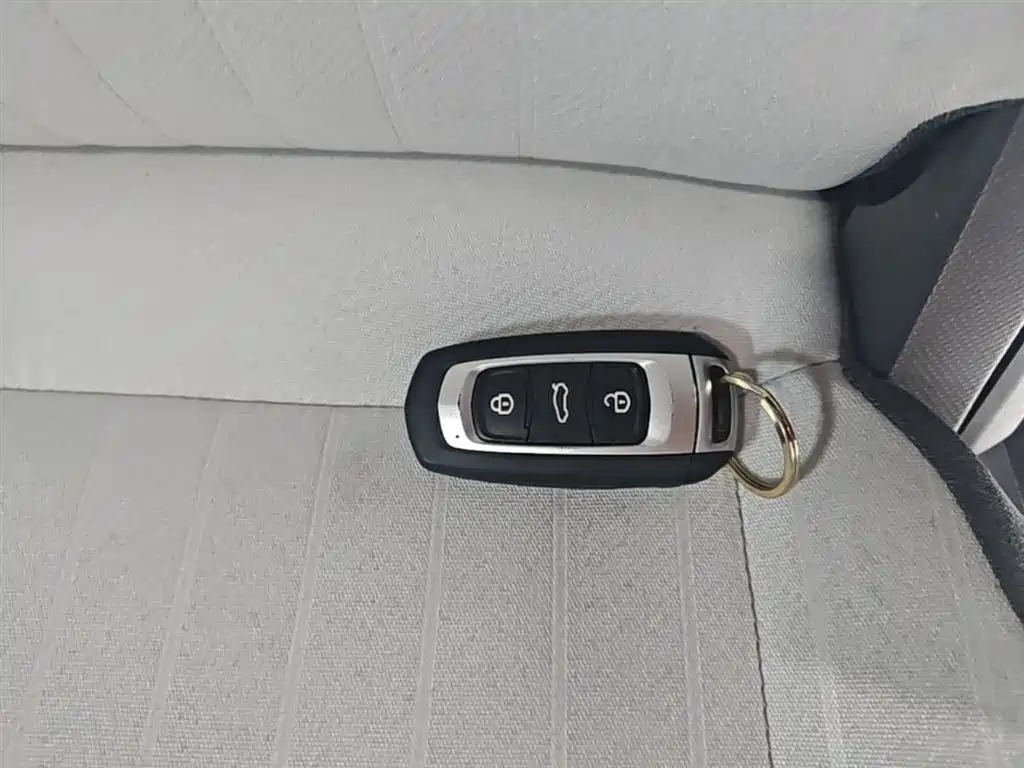Geely Galaxy Panda 2025 Panda mini 210km Vitality Bear фото 9