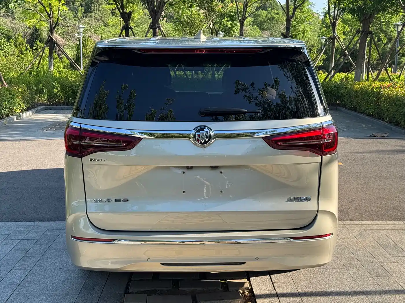 Buick GL8 2020 Model ES Landglory 653T Luxury фото 5