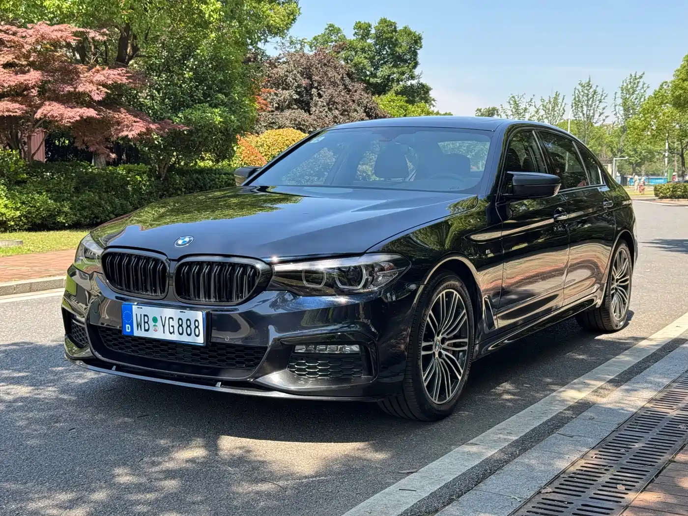 BMW 5 Series 2018 530Li Leading M Sport Package