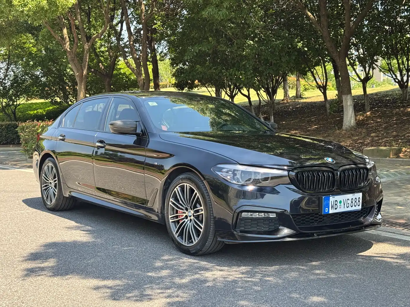 BMW 5 Series 2018 530Li Leading M Sport Package фото 3