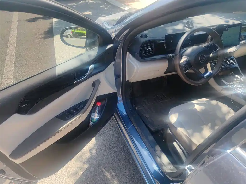 BYD Qin PLUS 2024 Glory Edition DM-i 55KM Leading фото 13