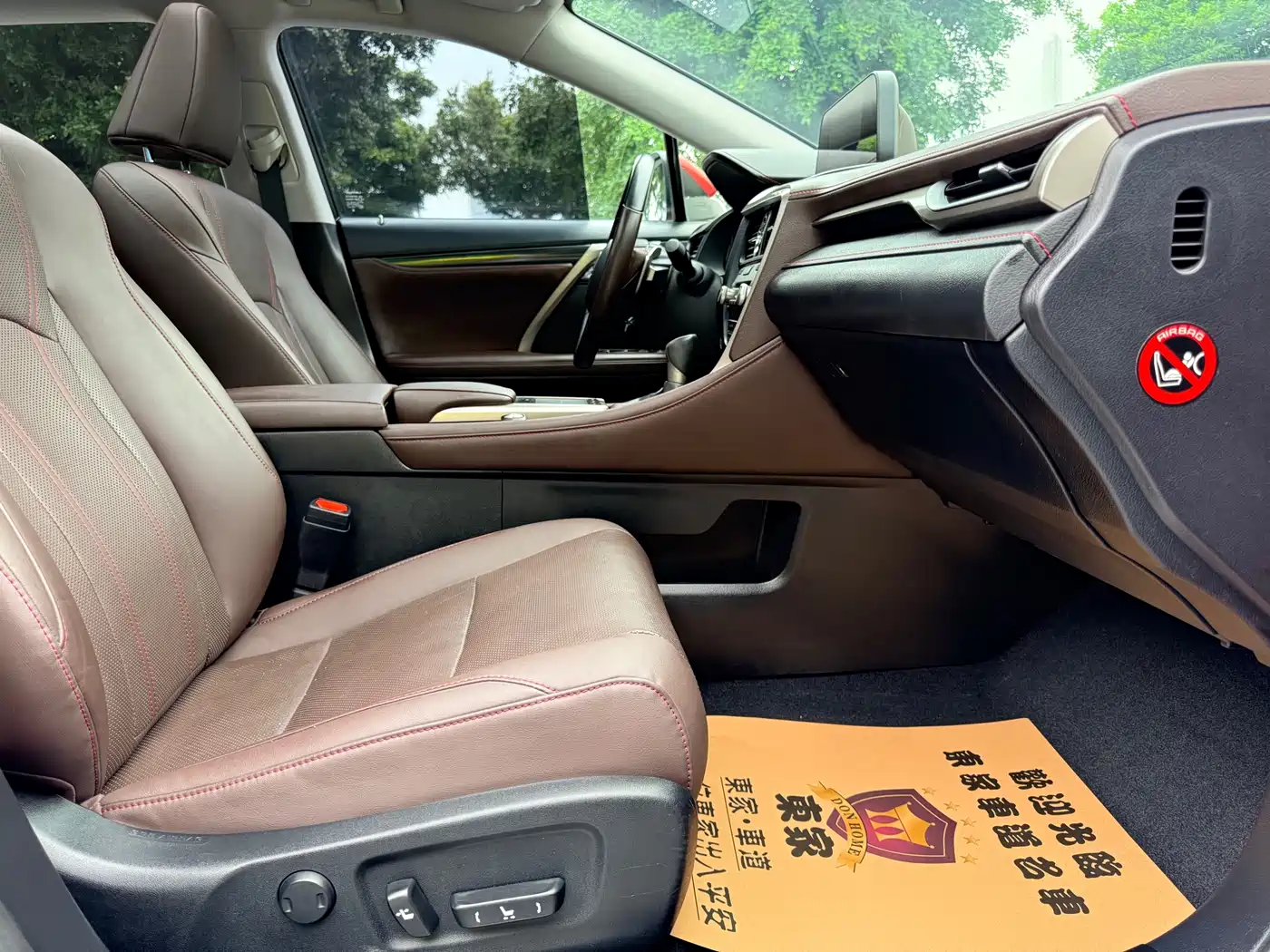 Lexus RX 2020 300 4WD Elegance Edition China VI фото 18