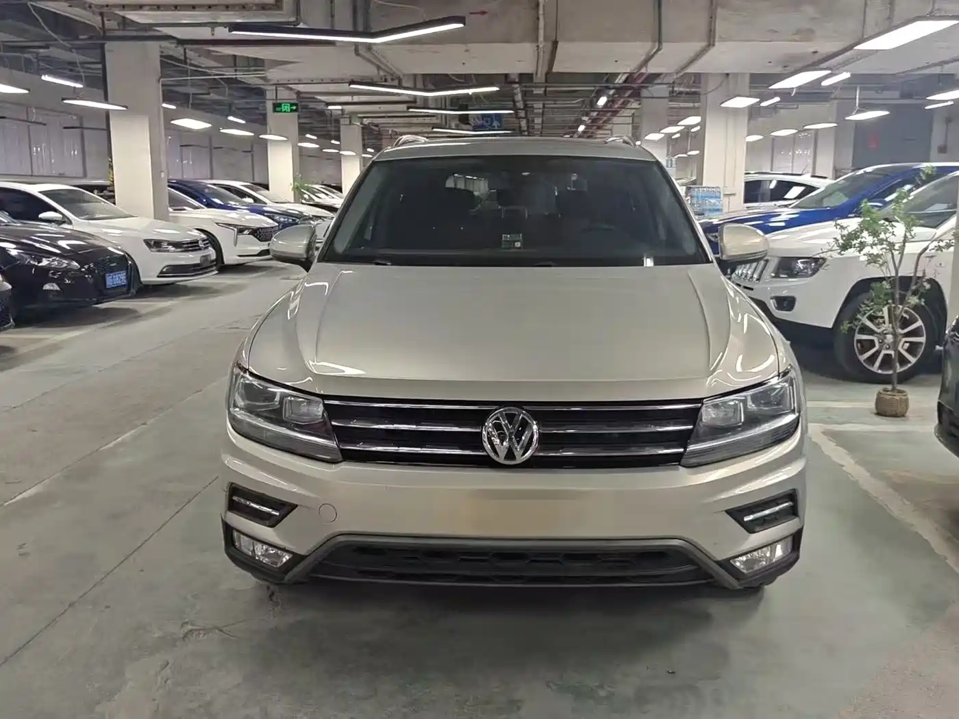 Volkswagen Tiguan L 2020 330TSI Auto 2WD Panorama Comfort China VI фото 2