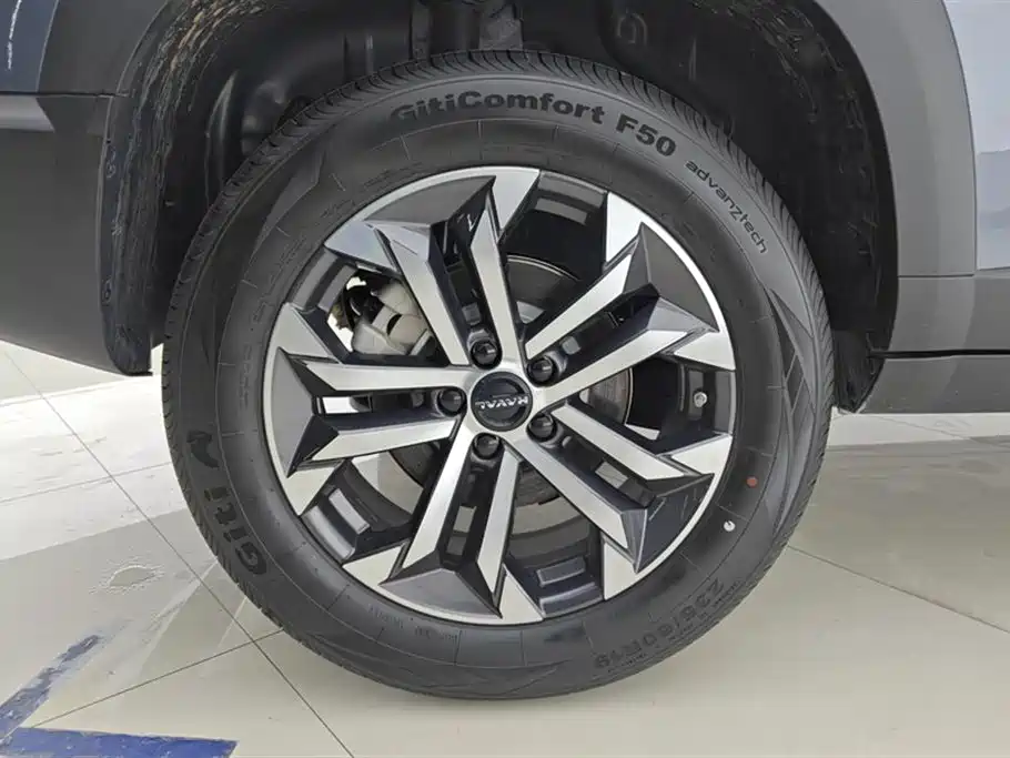 Haval Big Dog 2024 1.5T DCT Border Collie Edition фото 6