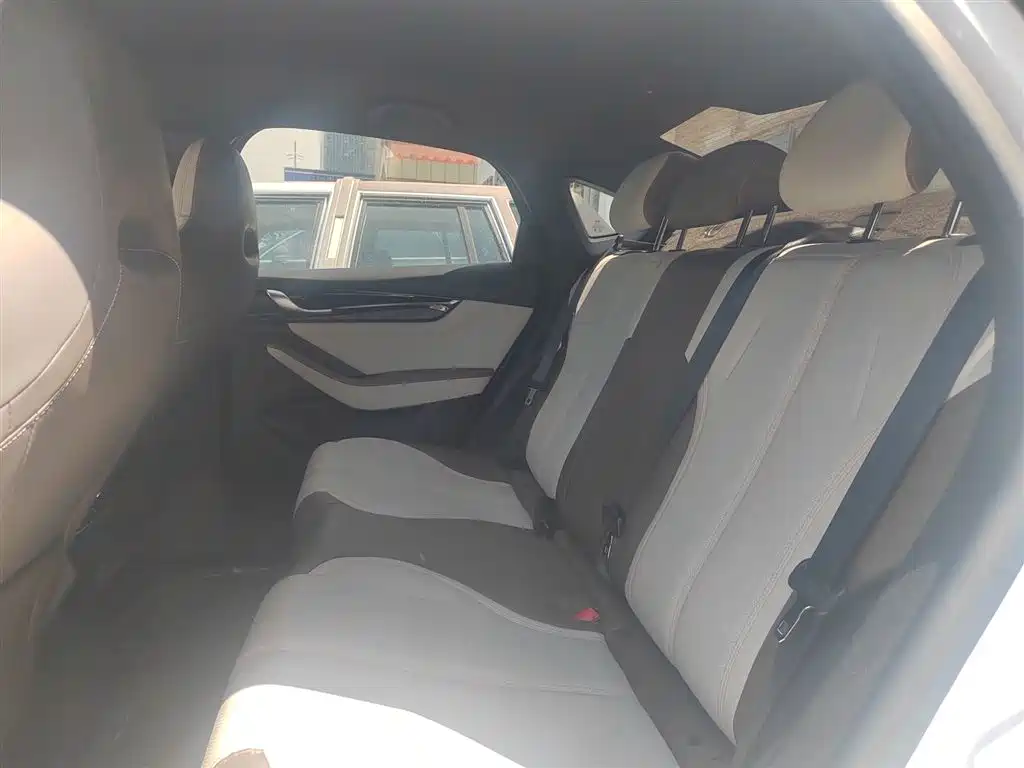 BYD Qin PLUS 2024 Glory Edition DM-i 55KM Leading фото 12