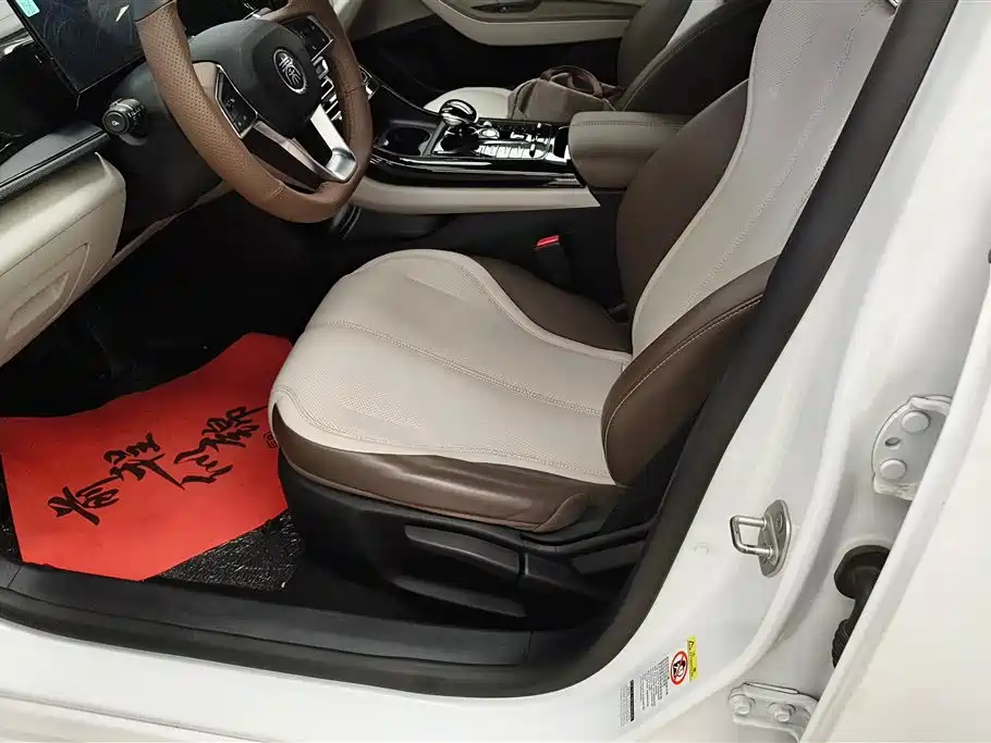 BYD Qin PLUS 2024 Glory Edition DM-i 55KM Leading фото 9