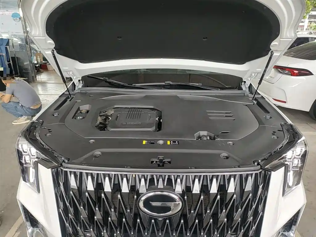 GAC Trumpchi Trumpchi GS8 2022 Hybrid Series 2.0TM 4WD Premium Edition (7-Seater) фото 20