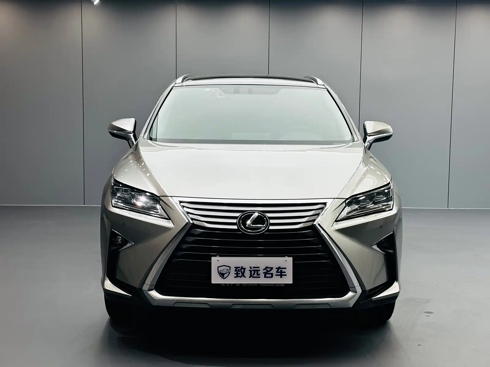 Фото 2 - Lexus RX