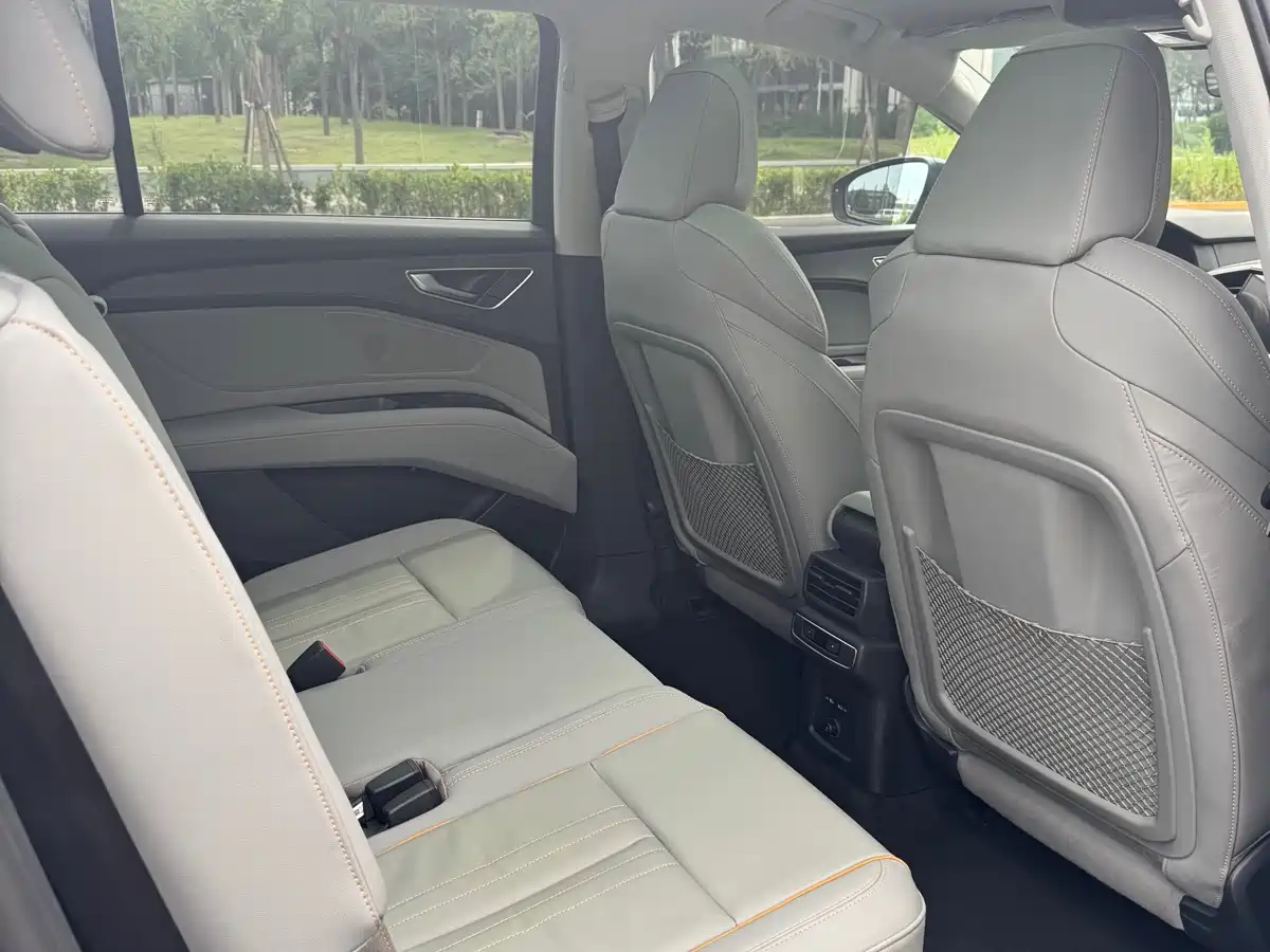 Audi Q5 e-tron 2022 40 e-tron Starlight Edition Brocade Package фото 12