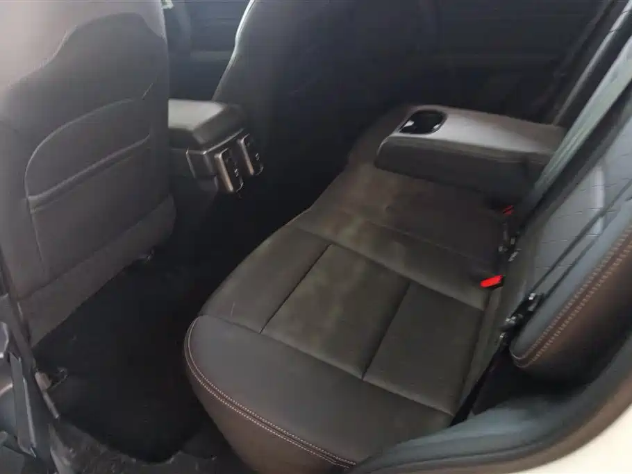 Haval Big Dog 2021 1.5T DCT 2WD Labrador Edition фото 11