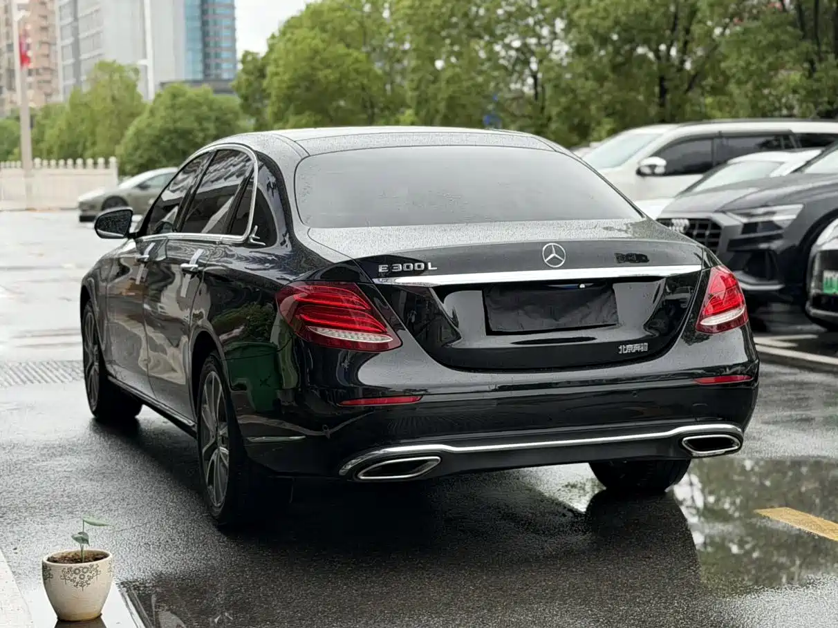 Mercedes-Benz E-Class 2019 Facelift E 300 L Fashion фото 16