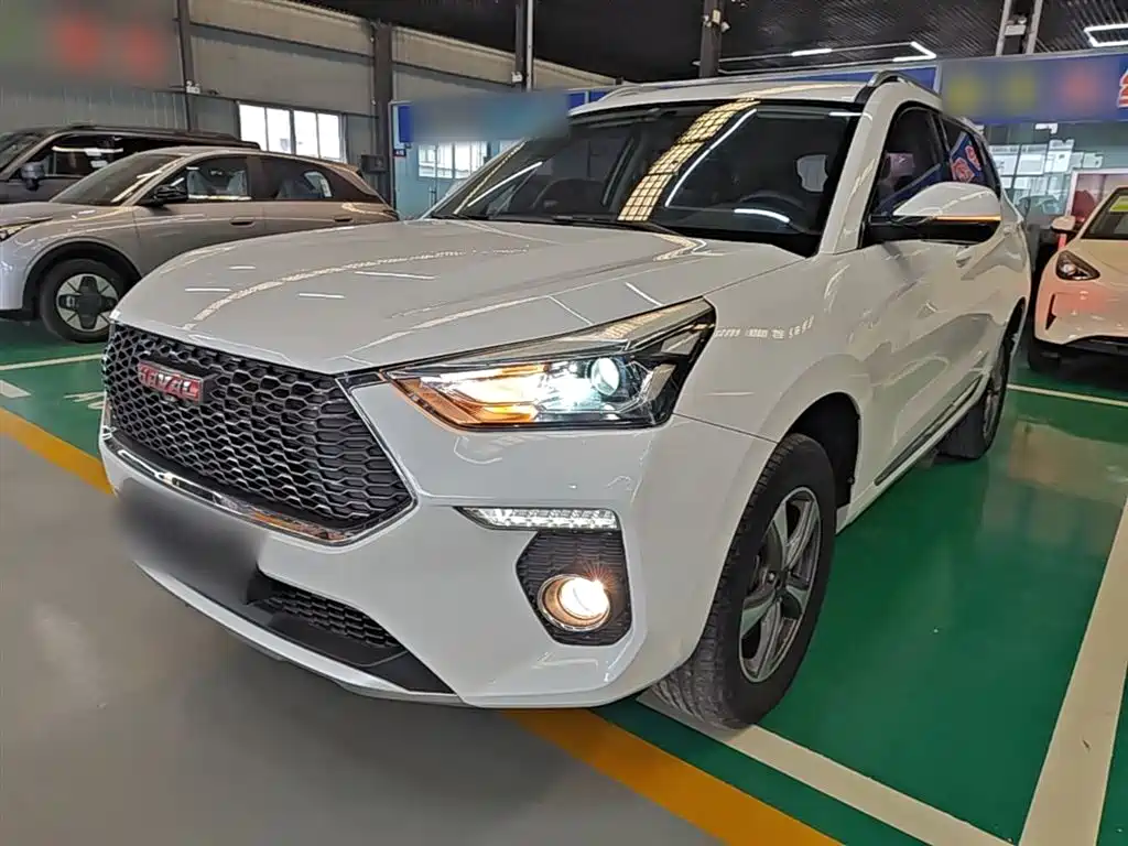 Haval H6 Coupe 2018 Red Label 1.5T Auto 2WD Luxury Edition фото 2