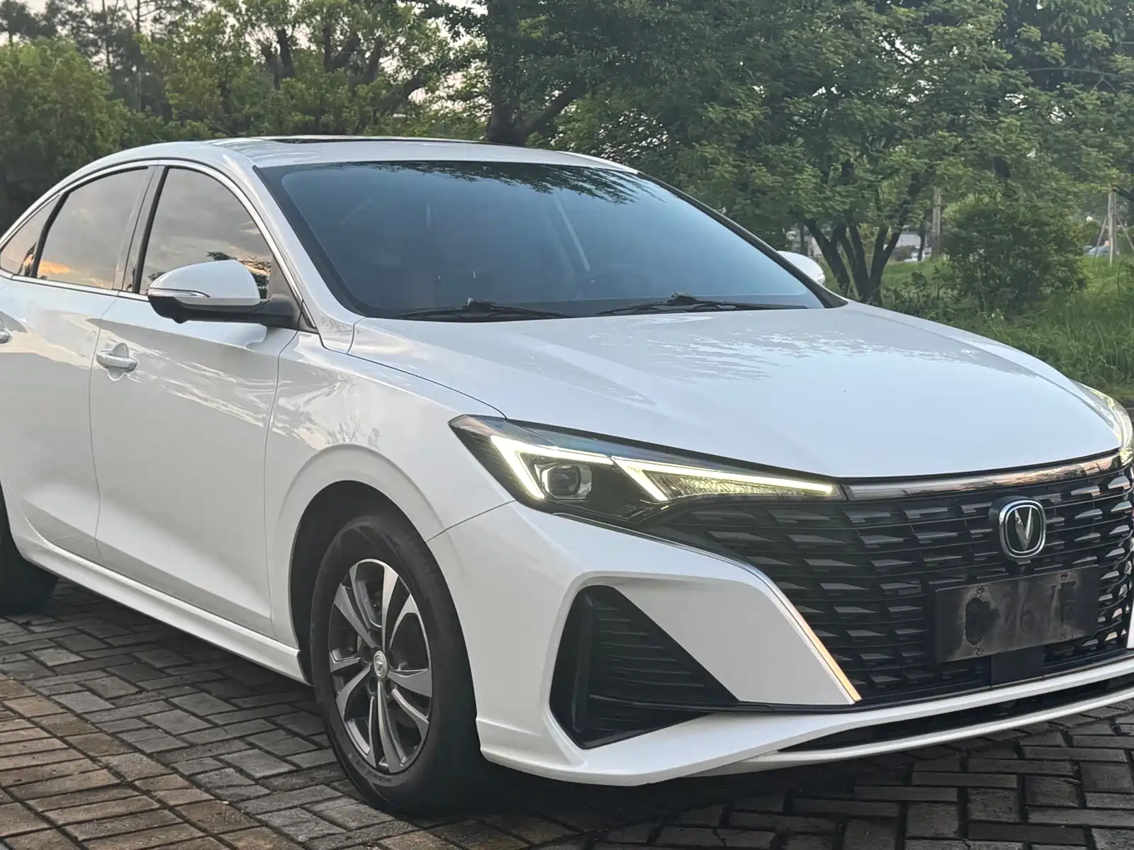 Фото 3 - Changan Eado