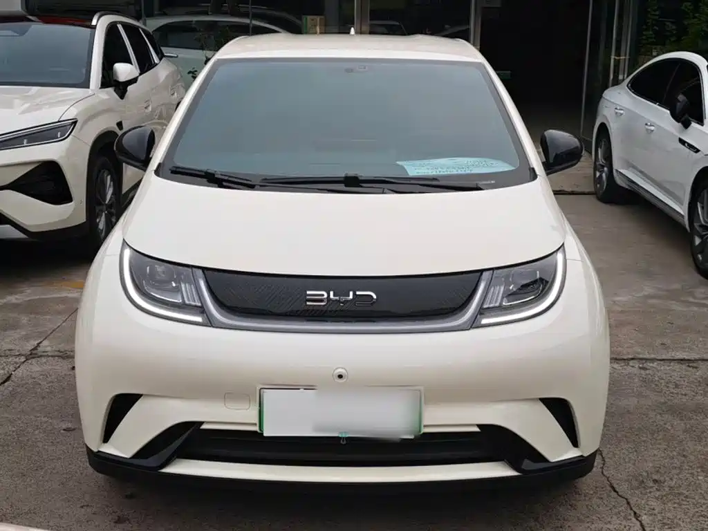 Фото 3 - BYD Dolphin