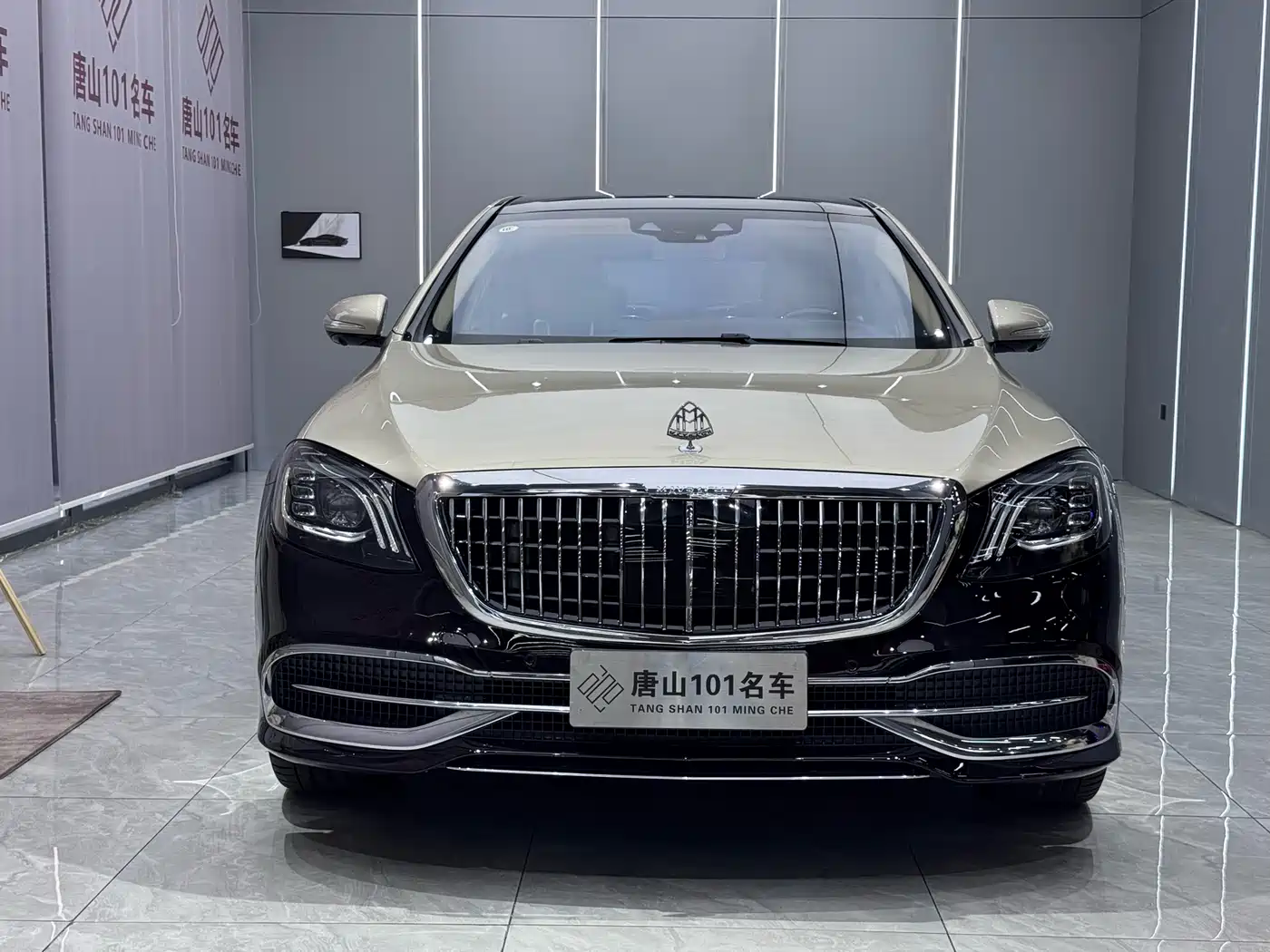 MERCEDES-BENZ MAYBACH S CLASS