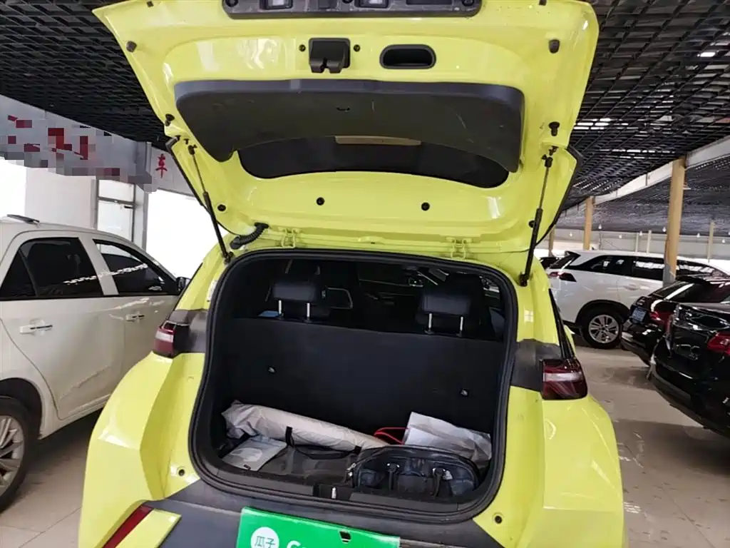 BYD Seagull 2024 Glory Edition 305km Freedom Edition фото 19