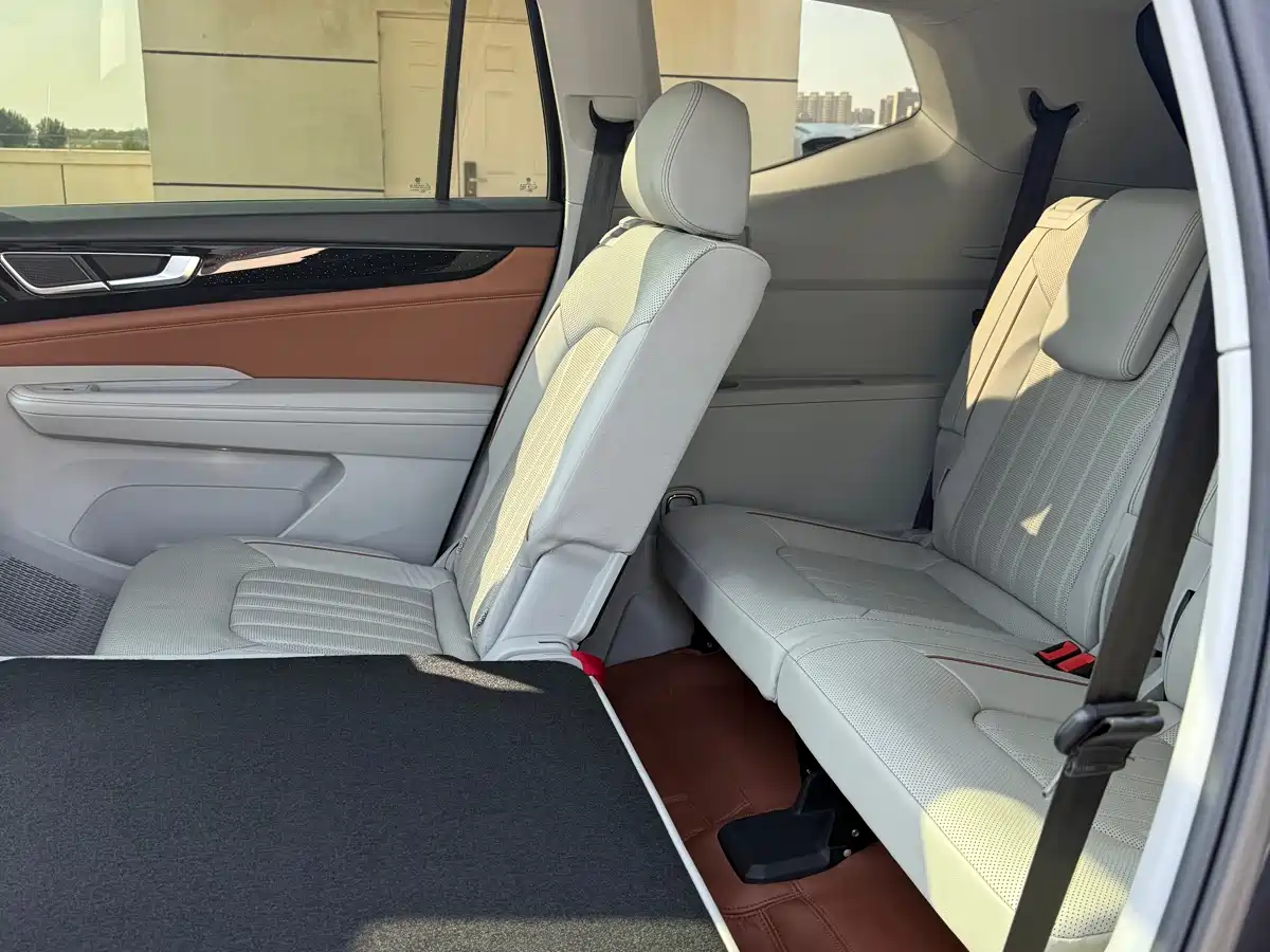 Volkswagen Teramont 2021 380TSI 4WD Premium Luxury Edition фото 9