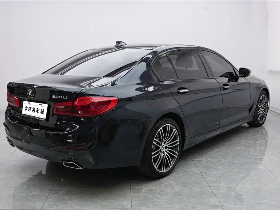 BMW 5 Series 2018 Facelift 530Li Leading M Sport Package фото 19