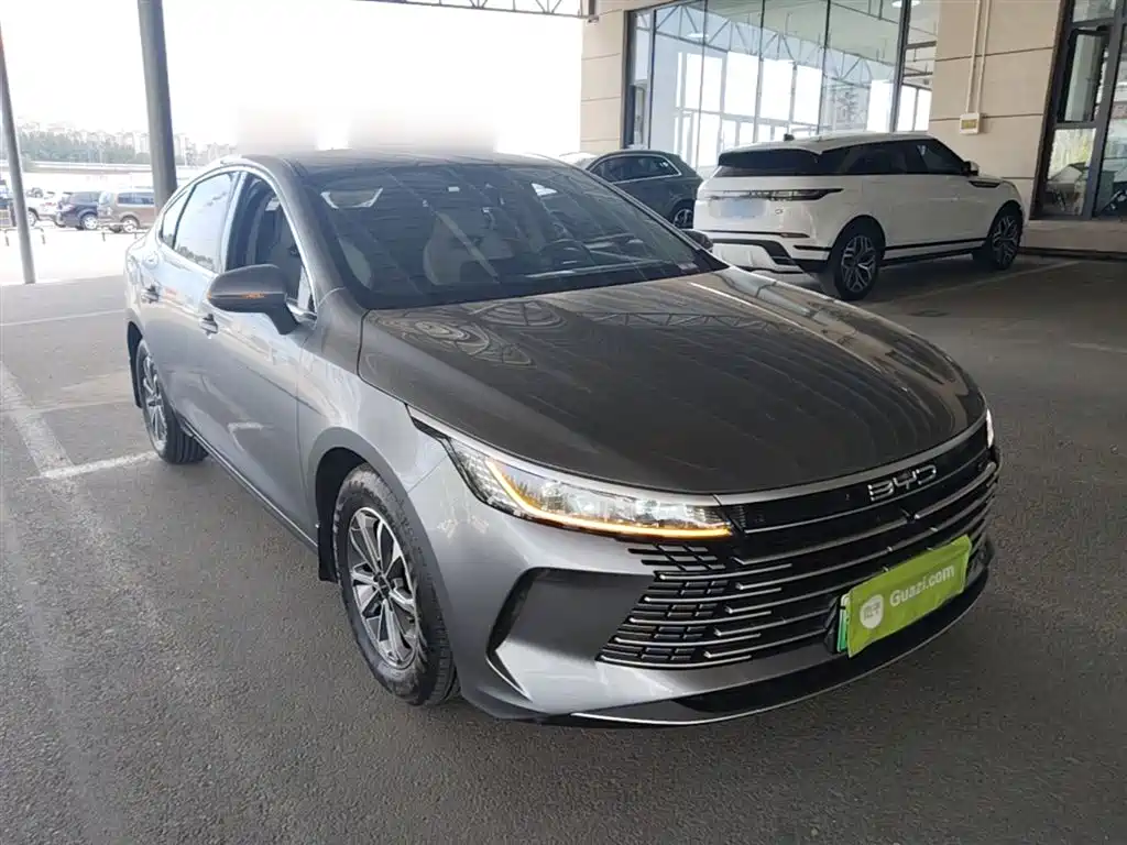 BYD Destroyer 05 2024 Glory Edition DM-i 55KM Luxury фото 4
