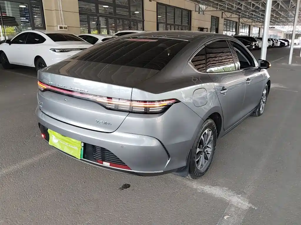 BYD Destroyer 05 2024 Glory Edition DM-i 55KM Luxury фото 7