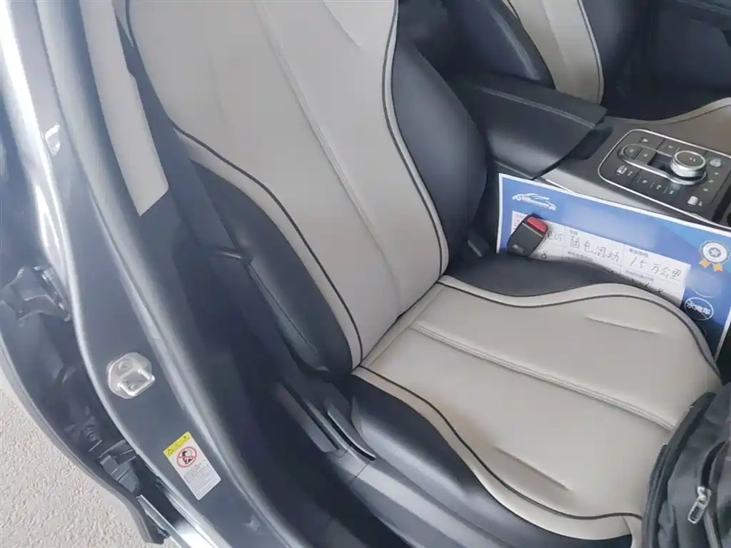 BYD Destroyer 05 2024 Glory Edition DM-i 55KM Luxury фото 25