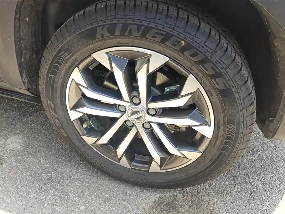 Haval Big Dog 2021 1.5T DCT 2WD Malinois Edition фото 6