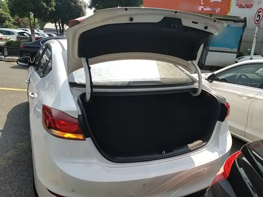 HYUNDAI LEAD