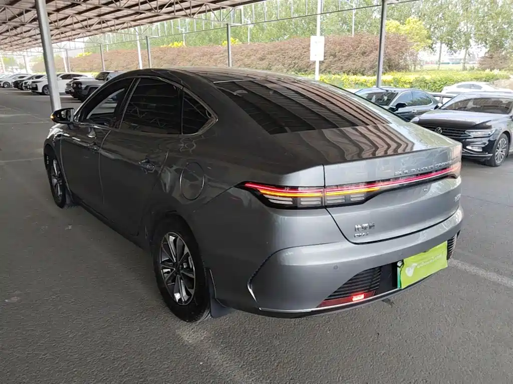 BYD Destroyer 05 2024 Glory Edition DM-i 55KM Luxury фото 5