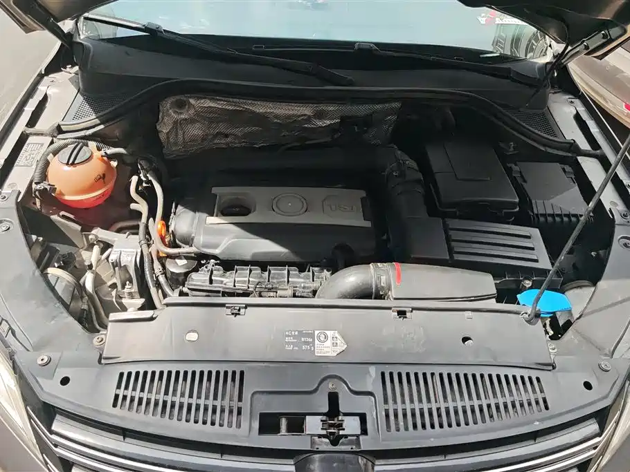 Volkswagen Tiguan 2010 1.8TSI Automatic 2WD Trend фото 10