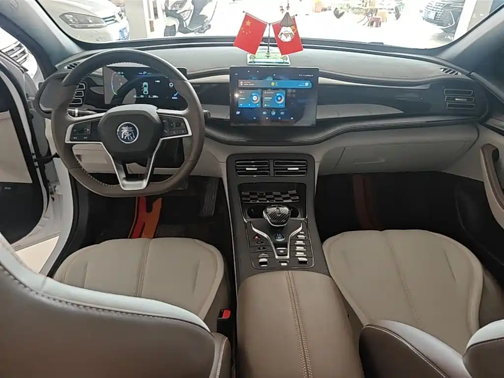 BYD Qin PLUS 2024 Glory Edition DM-i 55KM Leading фото 10