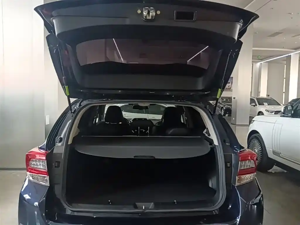 Subaru XV 2020 2.0i AWD Luxury Edition with EyeSight фото 15
