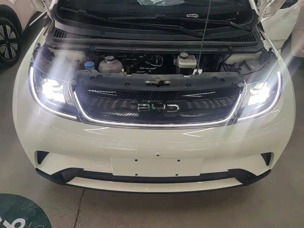 BYD Dolphin 2024 Glory Edition 420km Freedom Edition фото 20