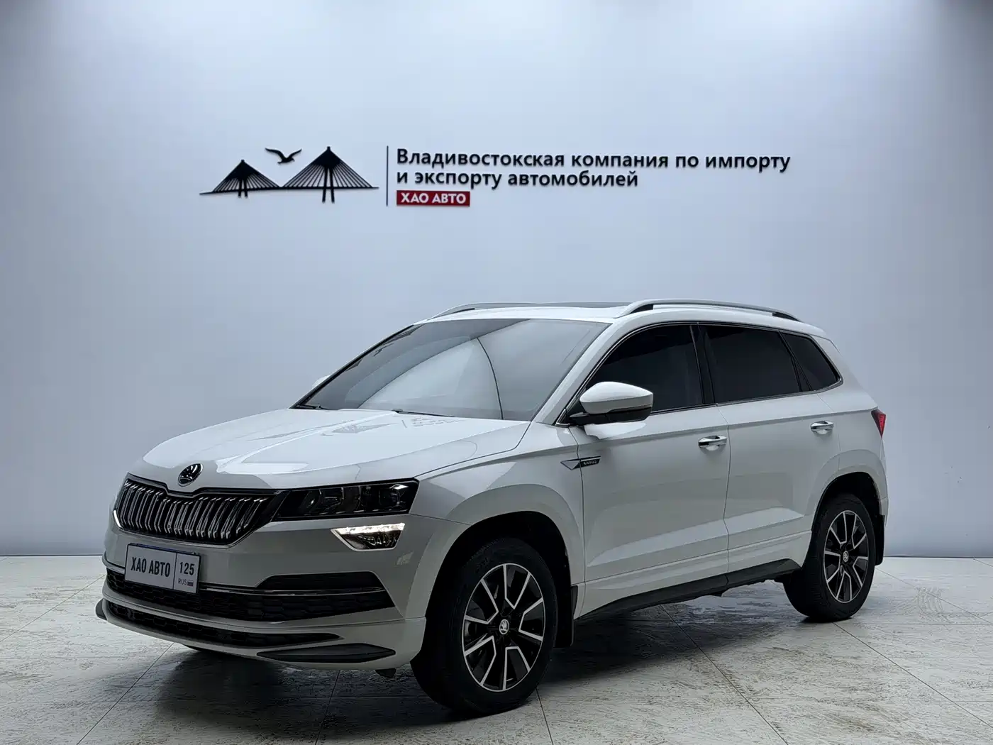 SKODA KROK