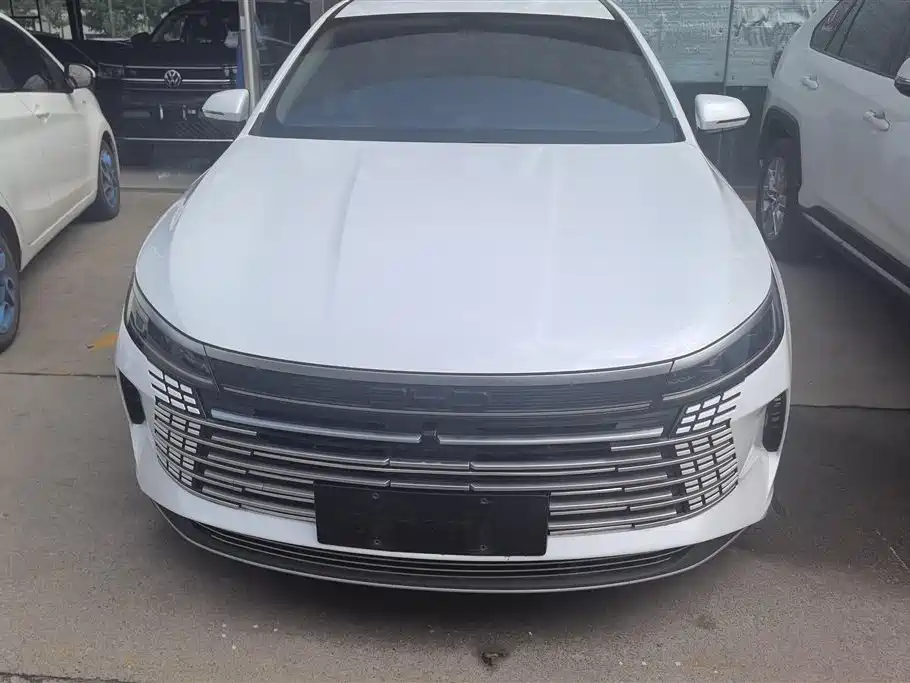 BYD Destroyer 05 2024 Glory Edition DM-i 55KM Luxury фото 2
