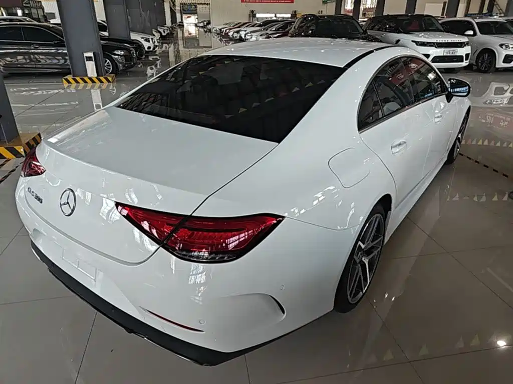 Mercedes-Benz CLS 2020 CLS 300 Dynamic фото 7
