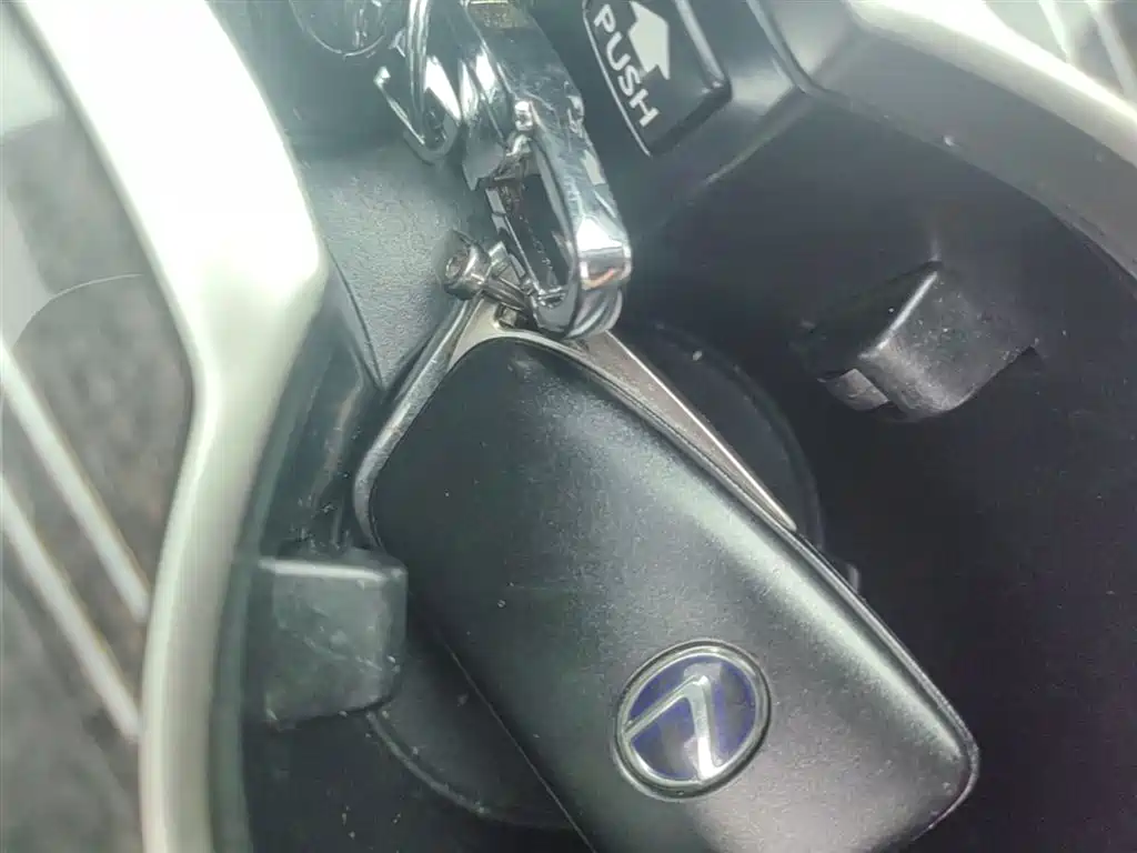 Lexus RX 2016 450h 4WD Luxury Edition фото 15